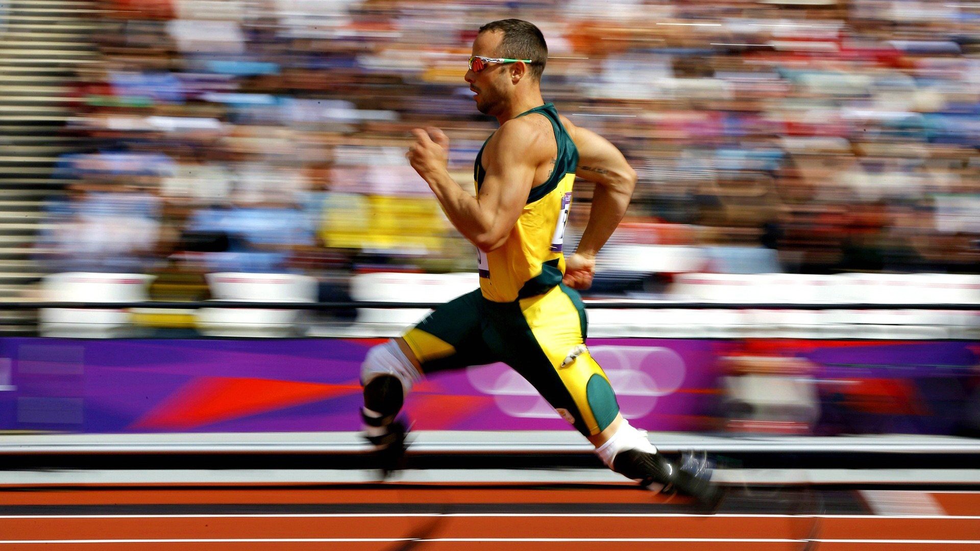 开云官网2026-魔术收割猛龙，当欧冠半决赛成为命运的手术台