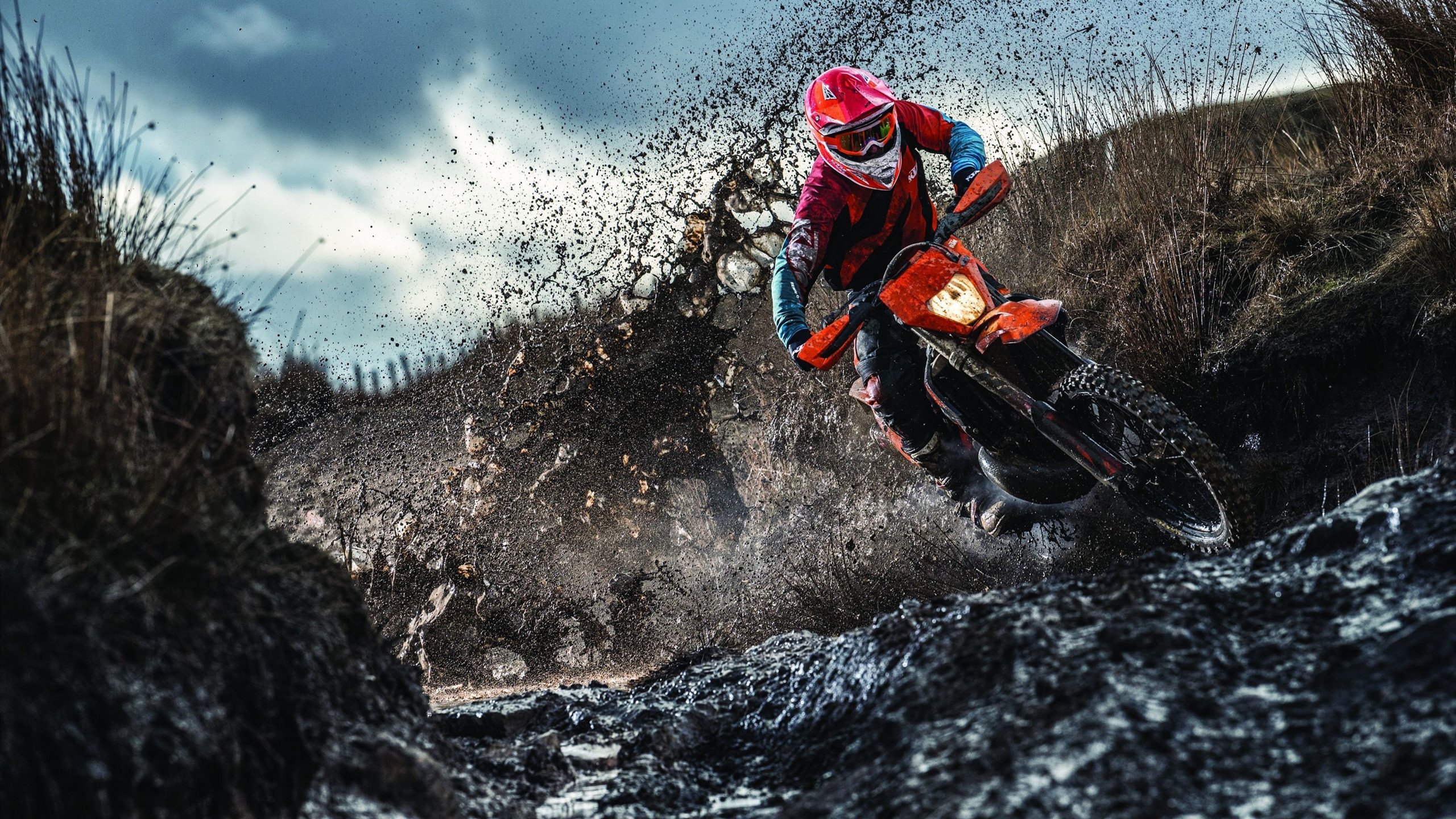 开云平台-范弗利特末节19分打碎掘金心脏，尼克斯火力全开上演逆转奇迹